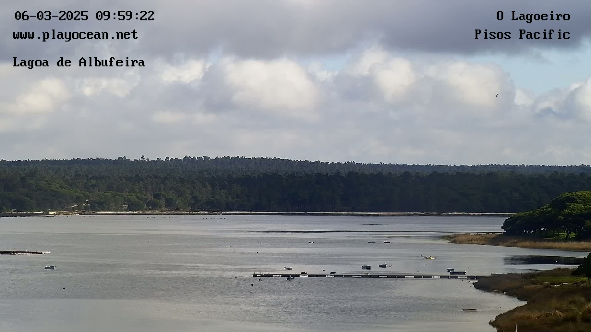 A calm body of water with several small boats and a long dock is surrounded by a dark green forest under a mostly cloudy sky.