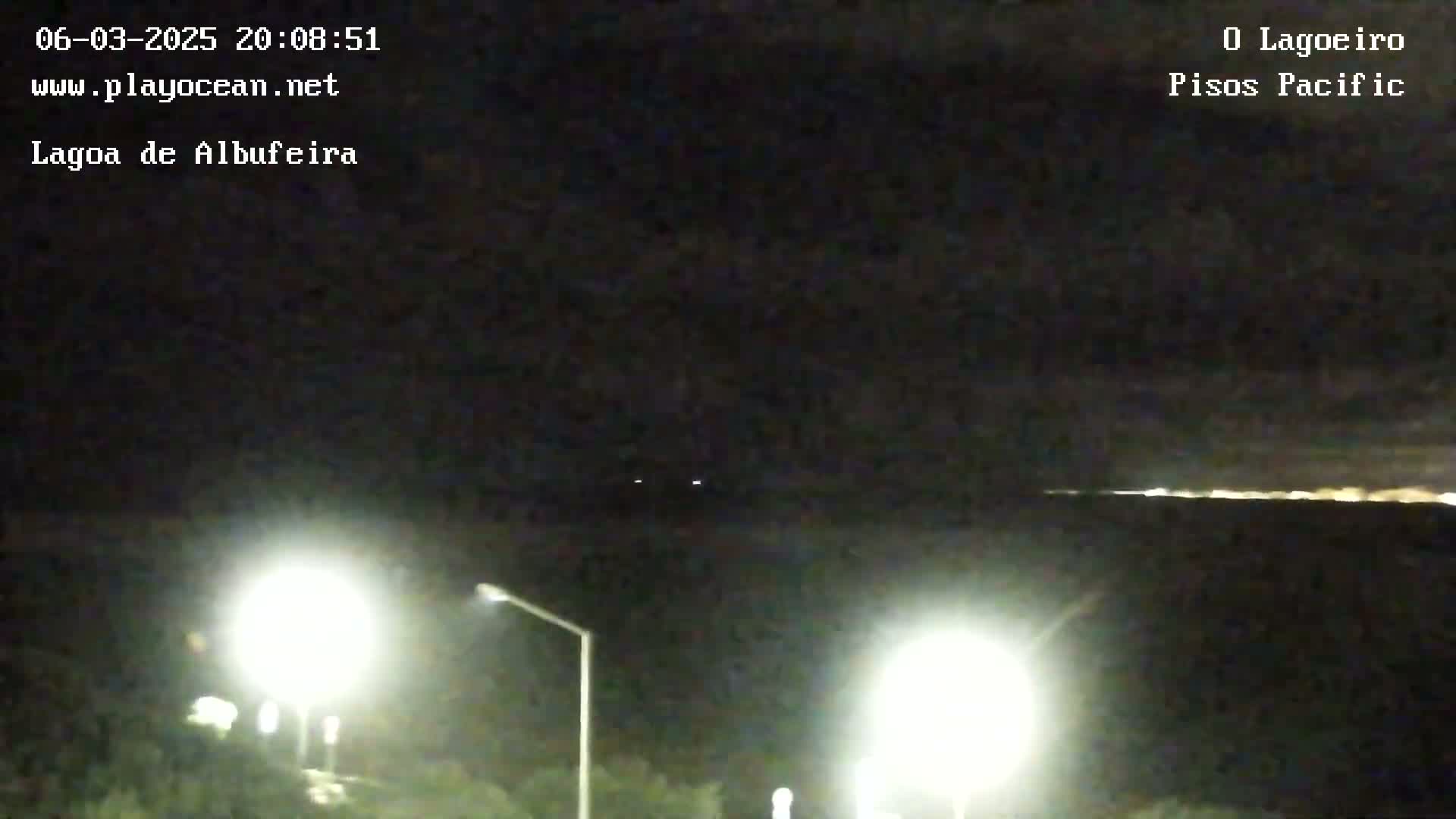 At night, under a dark sky, distant city lights illuminate the horizon near two bright streetlights in the foreground.