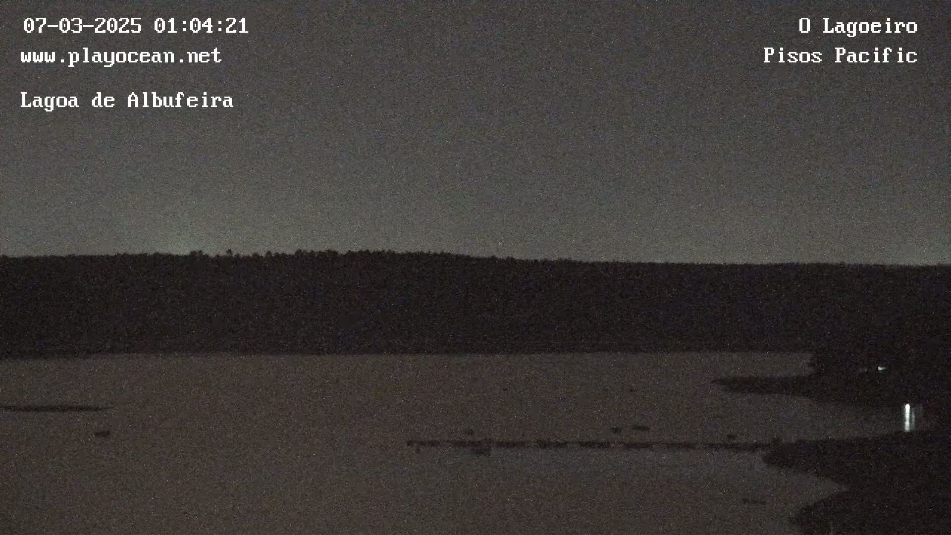 A dark, nighttime view of a body of water, with a dark shoreline and trees in the background under a mostly clear, dark sky.