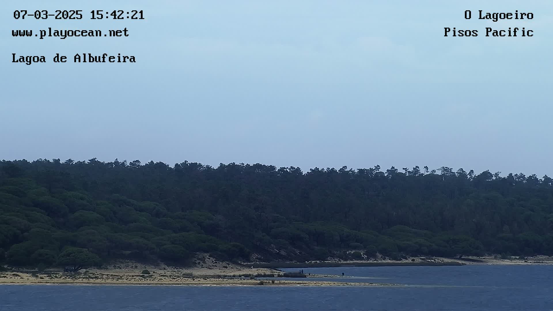 A dark green forest sits atop a sandy shoreline bordering calm, blue water under a hazy, light-blue sky.