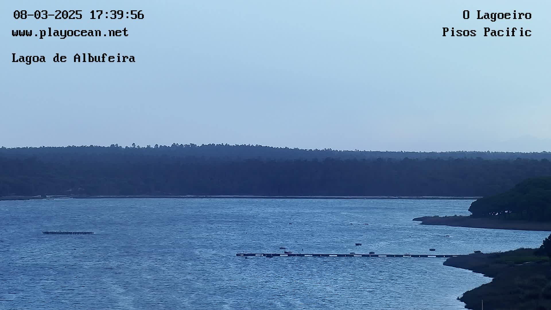 A calm body of water stretches out under a clear, light-blue sky, with a dark line of trees visible on the horizon.