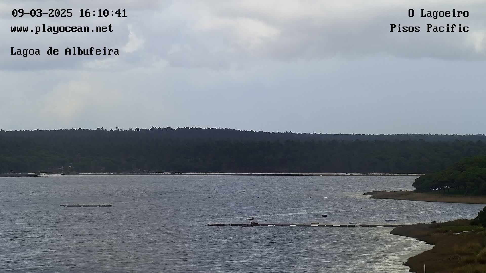 A calm body of water stretches out before a dark, tree-lined shore under a cloudy sky.