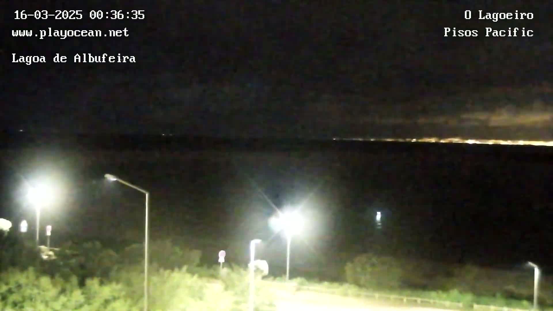 A nighttime long shot shows a dark body of water with a distant city skyline illuminated, under a mostly clear, dark sky, with several streetlights visible in the foreground.