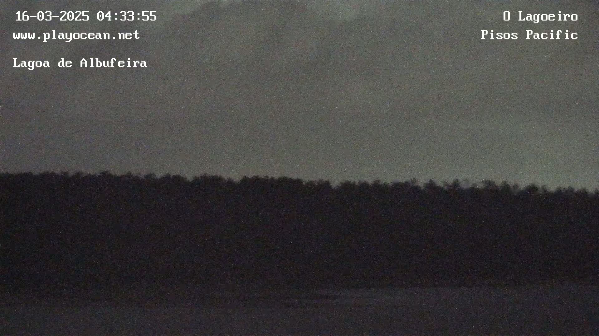 A dark, overcast sky is visible above a silhouetted line of trees.