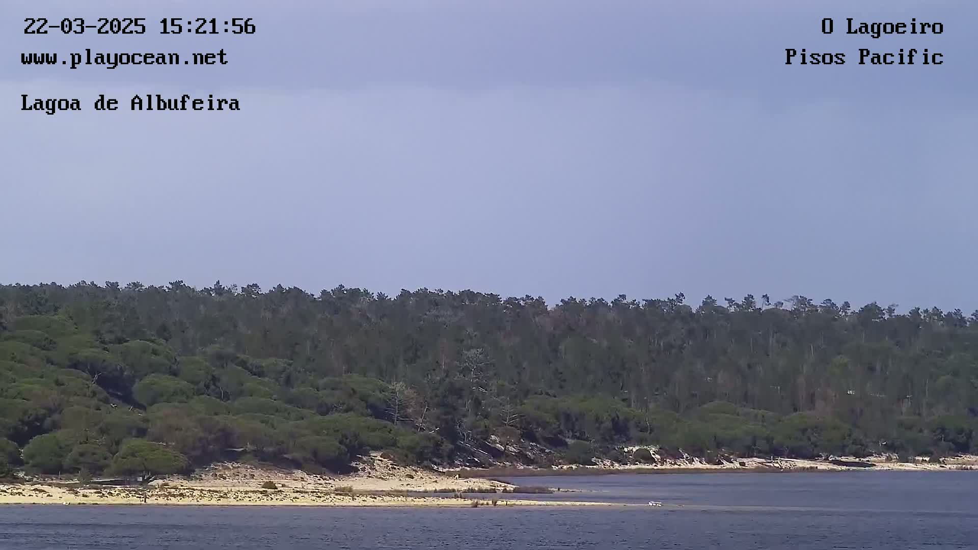 A calm body of water stretches out before a shoreline of light-colored sand and a dense forest of dark green trees under a clear, light-blue sky.
