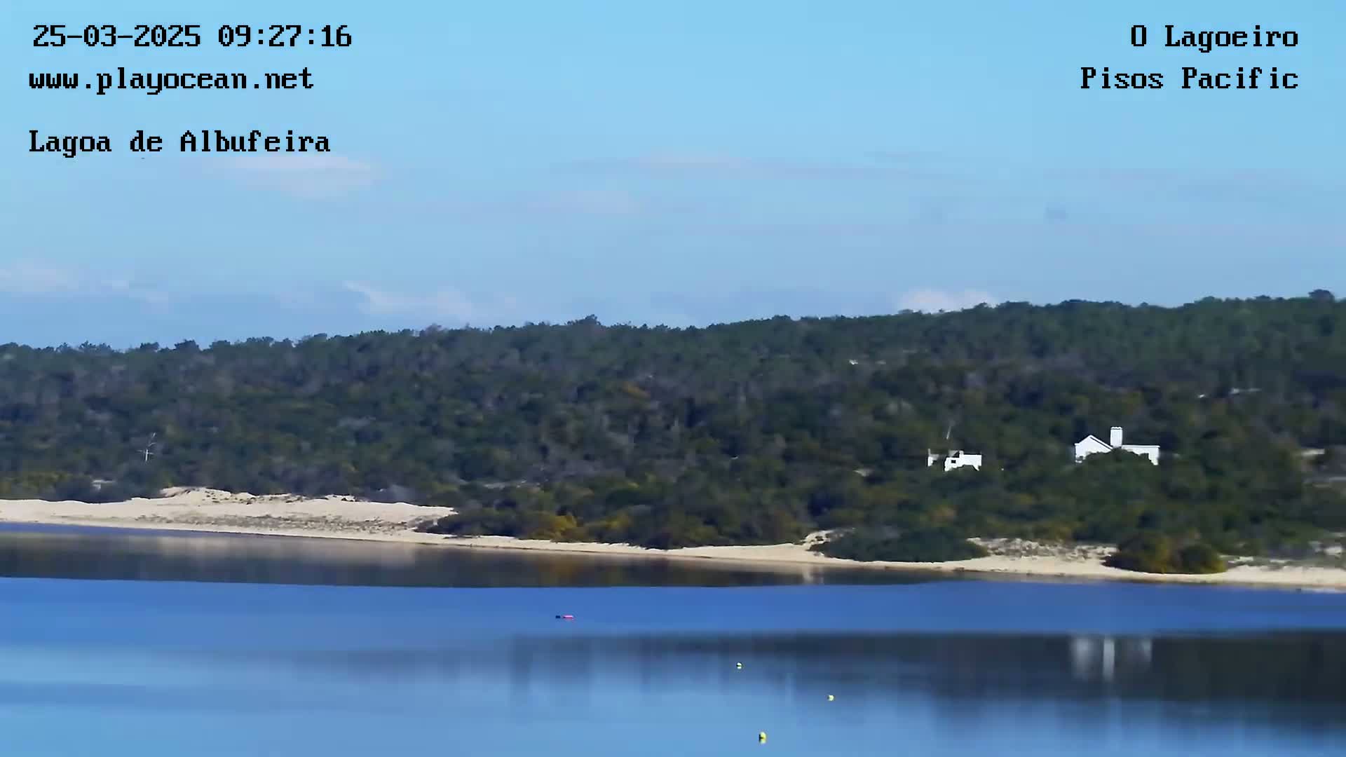A calm body of blue water laps a sandy shore backed by a line of dark green trees and a few white buildings under a clear, light blue sky.