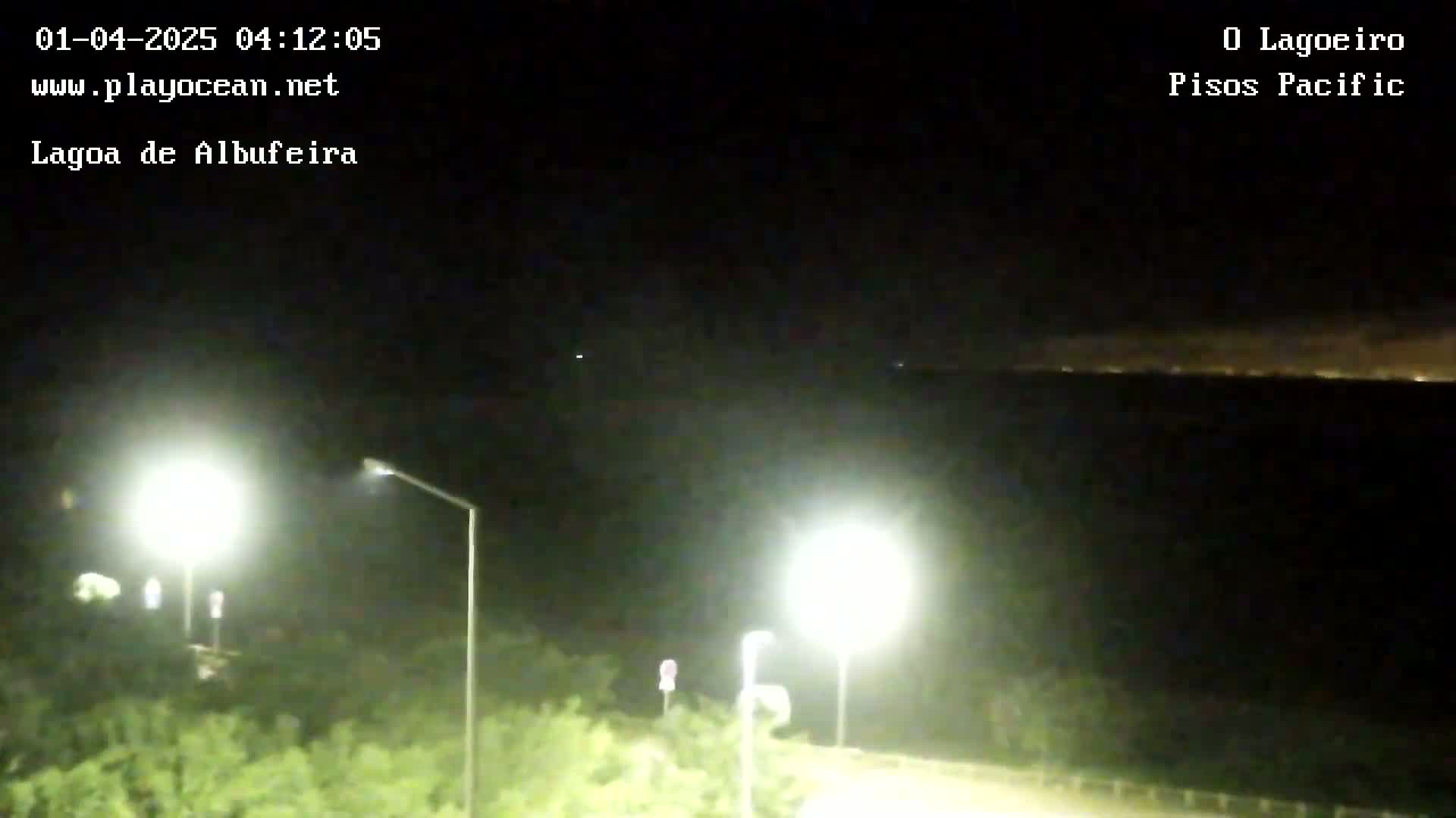 A nighttime view of a body of water with lights illuminating vegetation and a road in the foreground under a clear, dark sky.