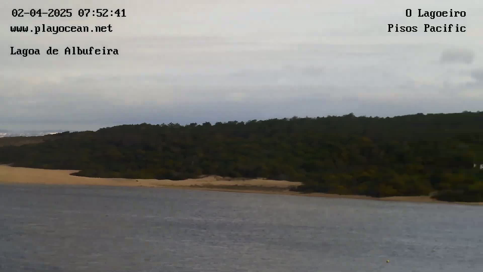 A body of calm water sits before a sandy shore and a dark green forest under a cloudy sky.
