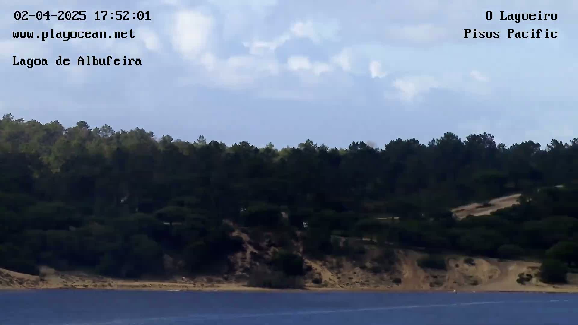 A mostly clear sky hovers over a tranquil body of water, where a sandy shore meets a dense, dark green forest.