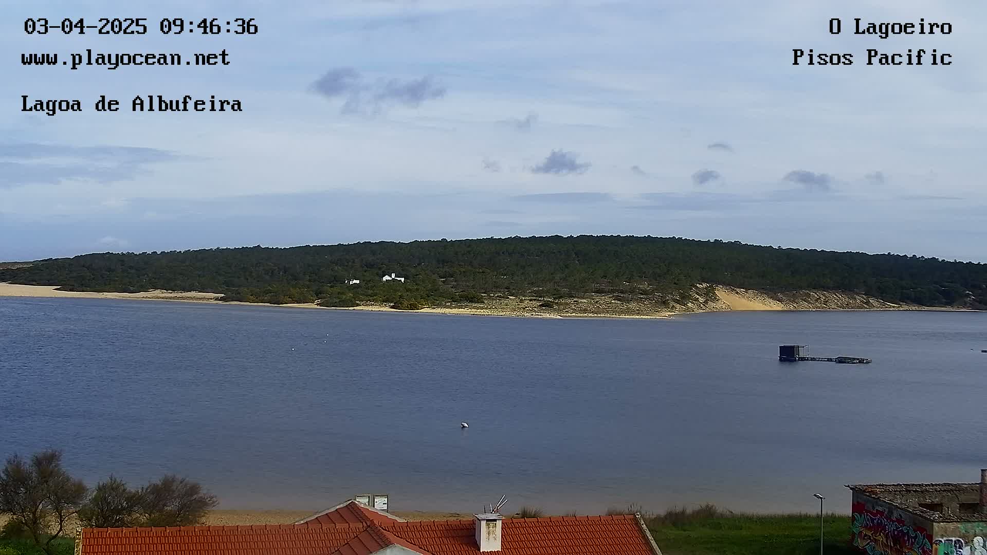 A calm body of water stretches toward a tree-covered landmass under a mostly clear sky.