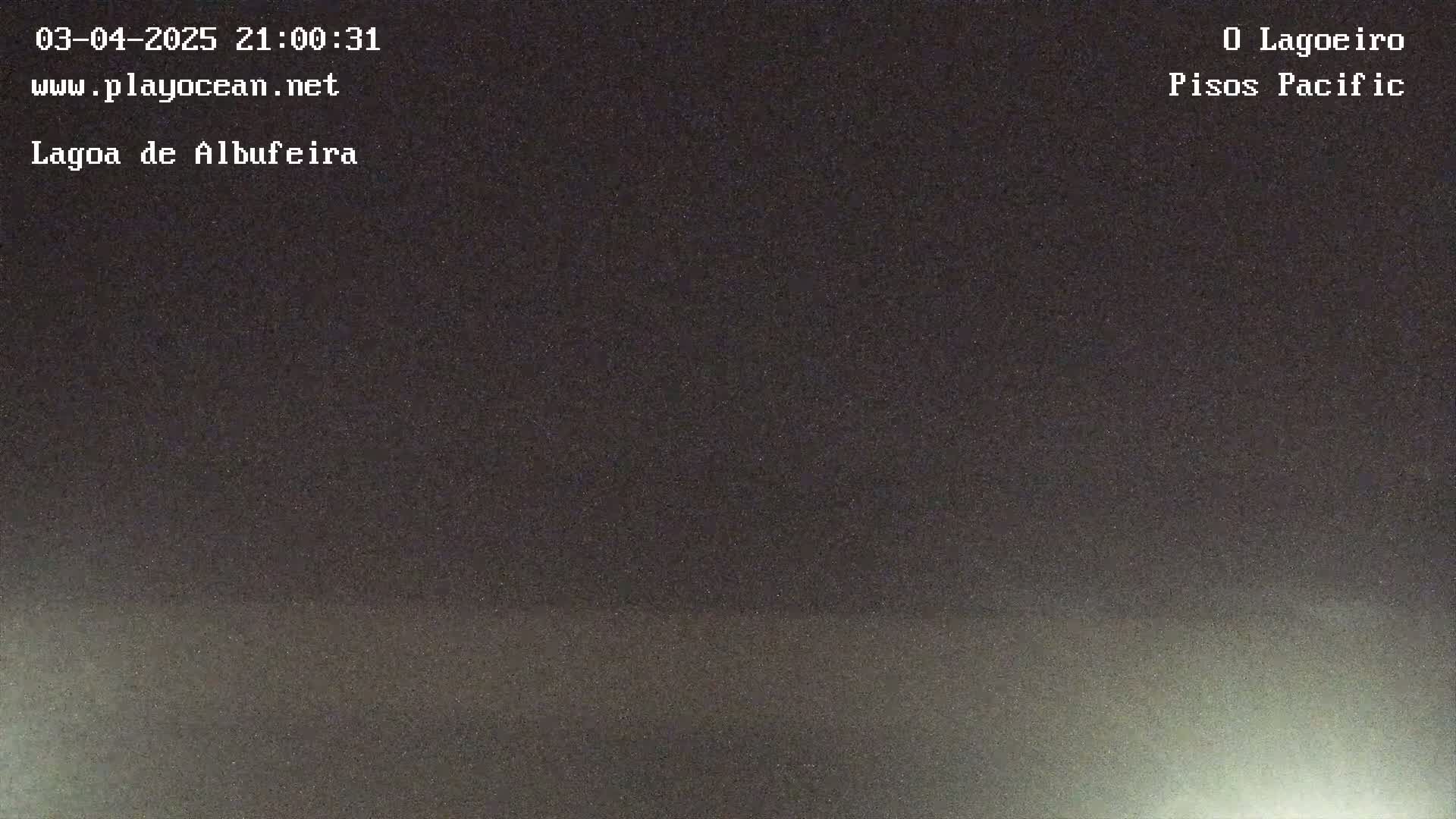 A dark, nighttime scene shows a dimly lit, grainy landscape under a mostly clear sky.