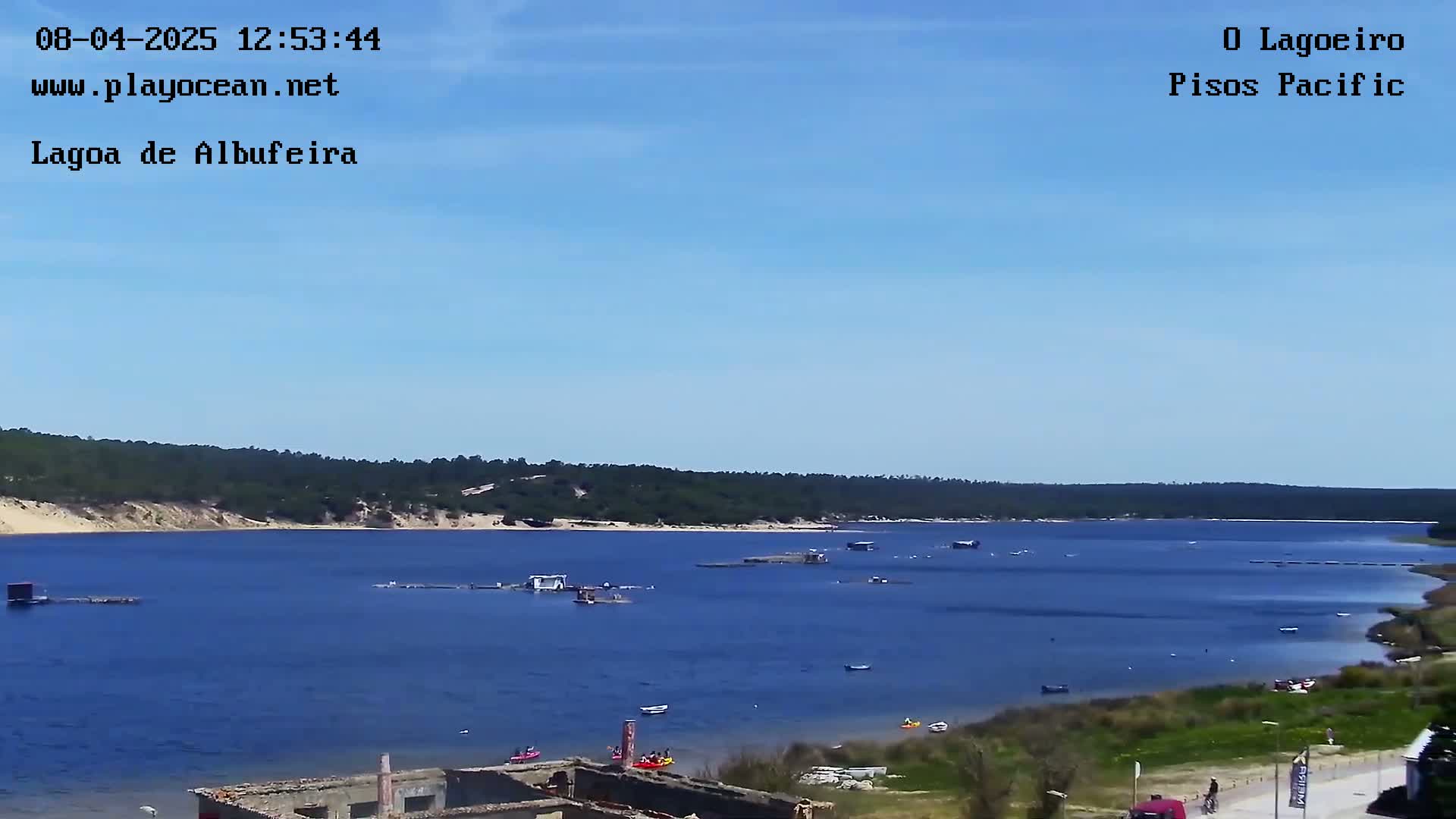 A calm, sunny day overlooks a tranquil body of water with a few small boats and people enjoying the shore, backed by a line of green trees.