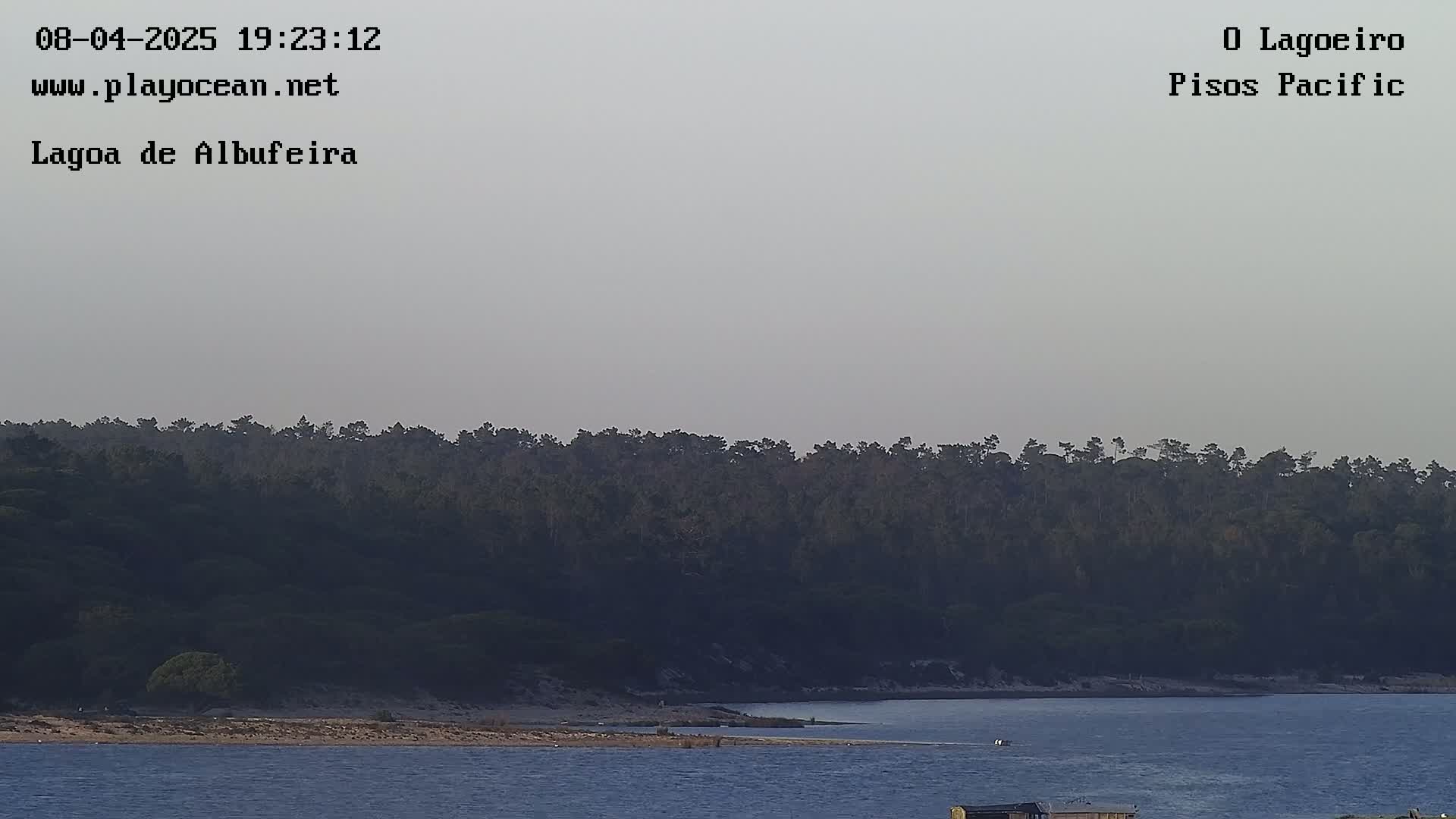 A hazy, dusky view shows a dark green forest lining a calm body of water, with a sandy shoreline separating the two.