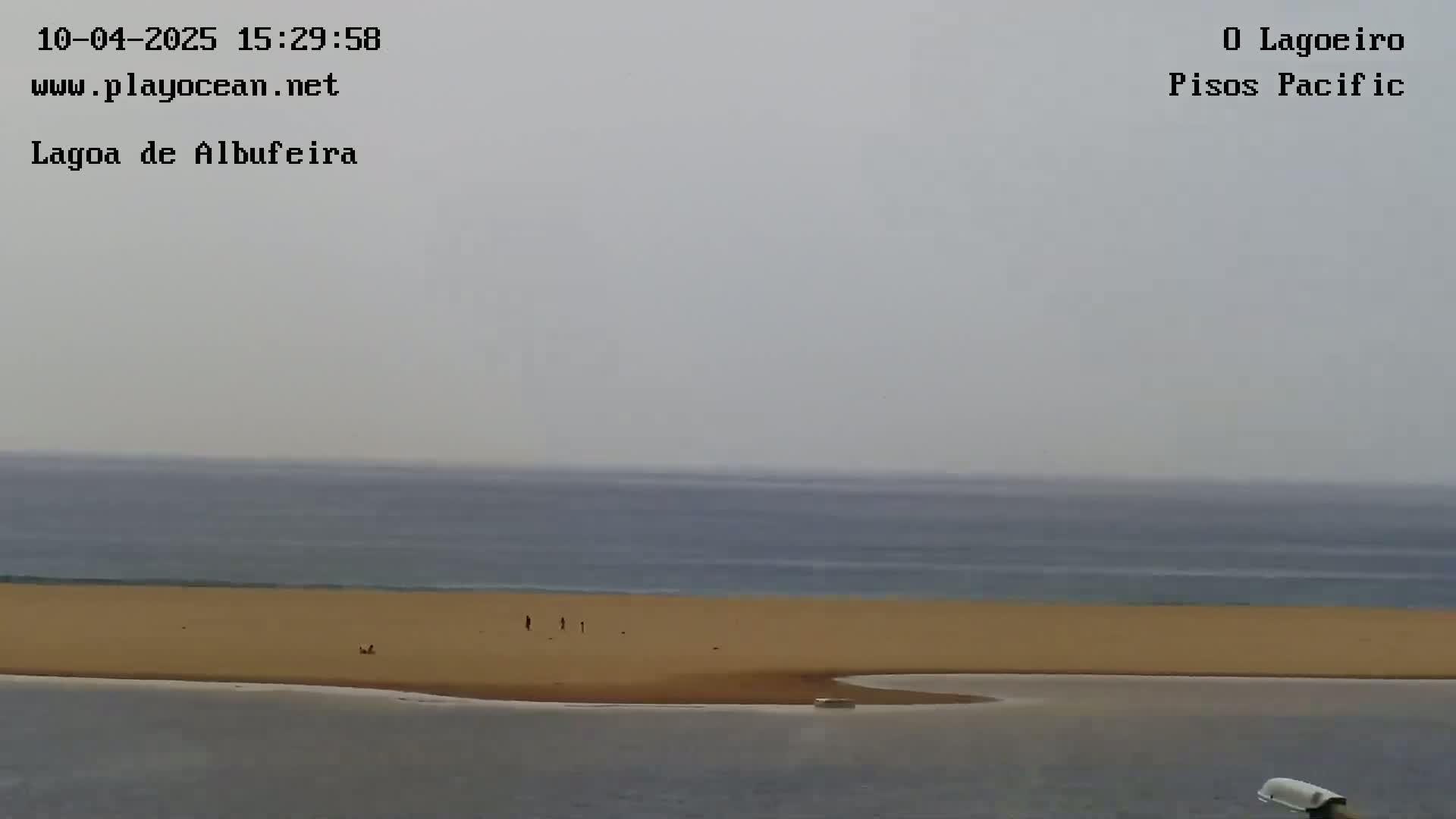 A long, sandy beach meets a calm, gray ocean under an overcast sky.
