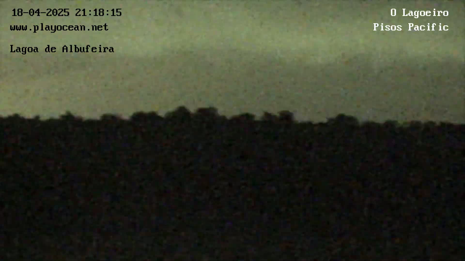 A dark, silhouetted line of trees or shrubs is visible against a muted, overcast sky at night.