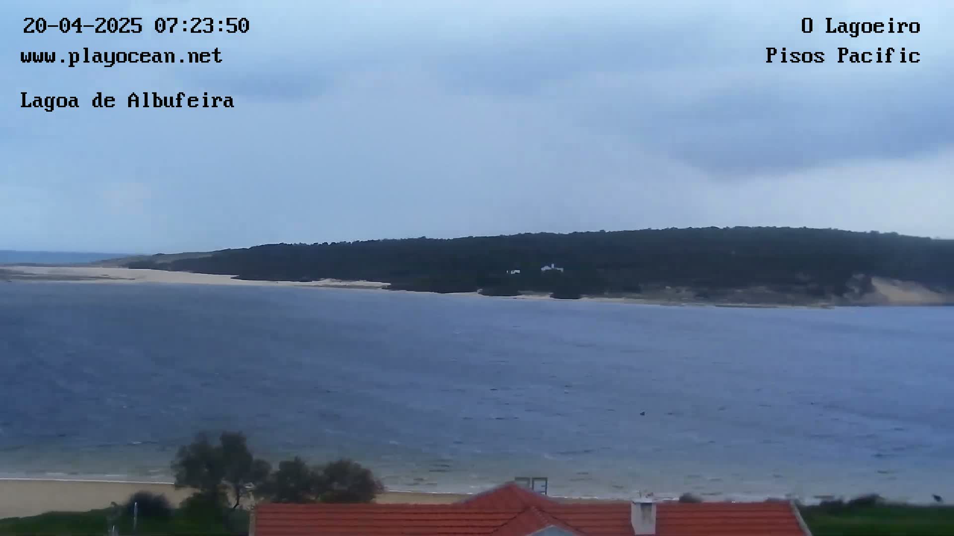 A body of water with a sandy shore and a wooded area in the background under an overcast sky.