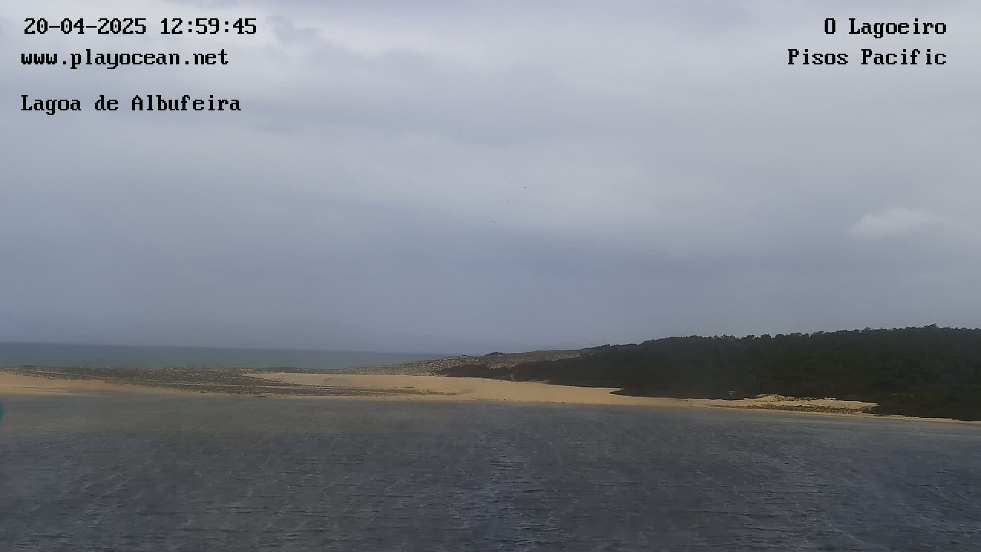 A body of dark water stretches out before a sandy shoreline meeting a line of dark green vegetation under an overcast sky.