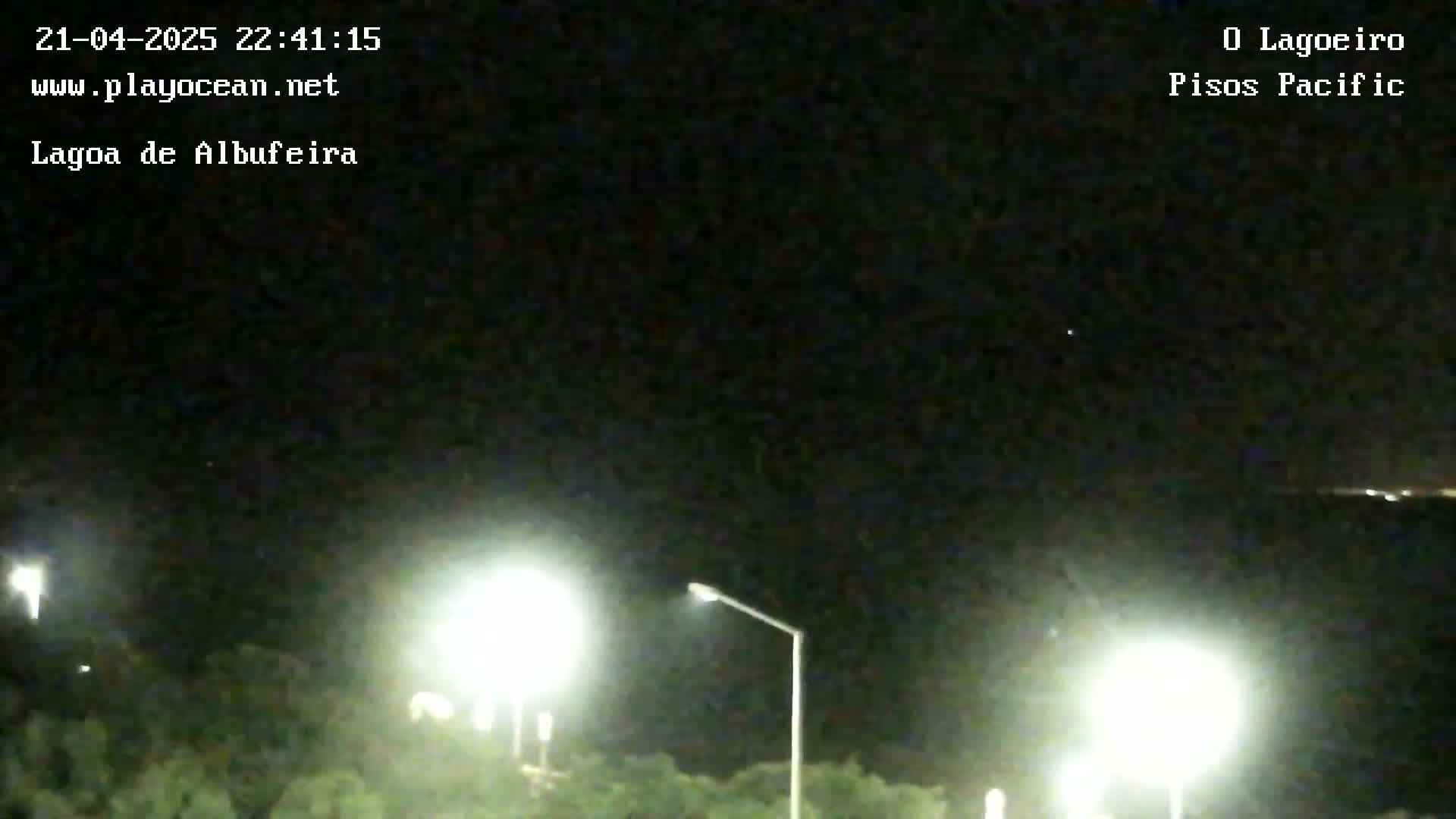 A nighttime view shows several illuminated streetlights near dark vegetation under a clear, starlit sky.