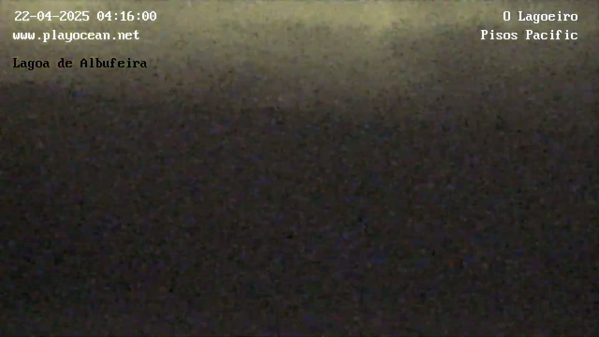 A dark, blurry image shows a mostly uniform, dark gray-brown surface.