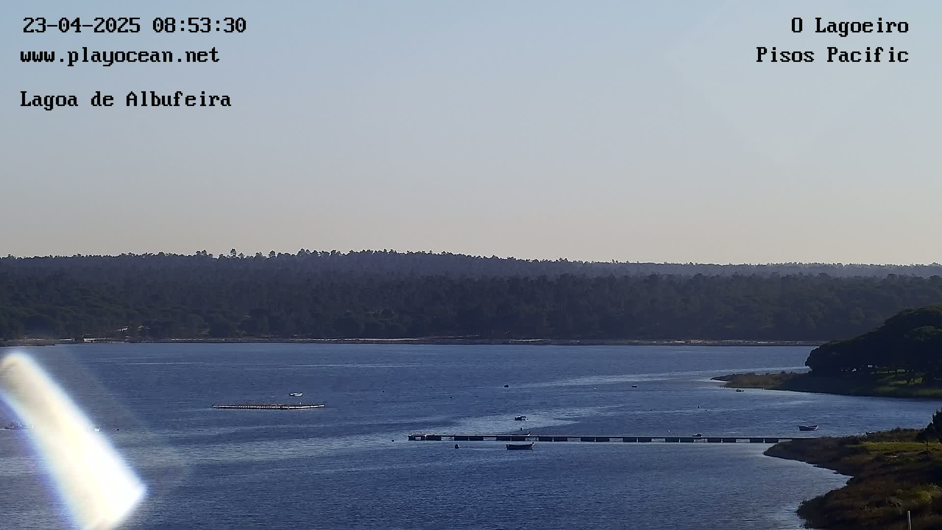 A calm, hazy body of water stretches out before a line of dark green trees under a light-blue sky.
