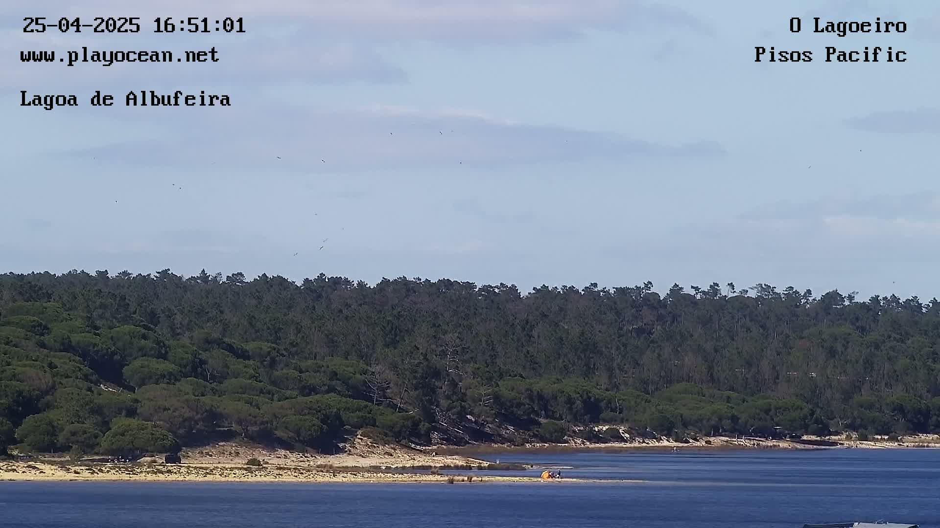 A calm body of water sits before a sandy shore backed by a dense forest under a mostly clear sky.