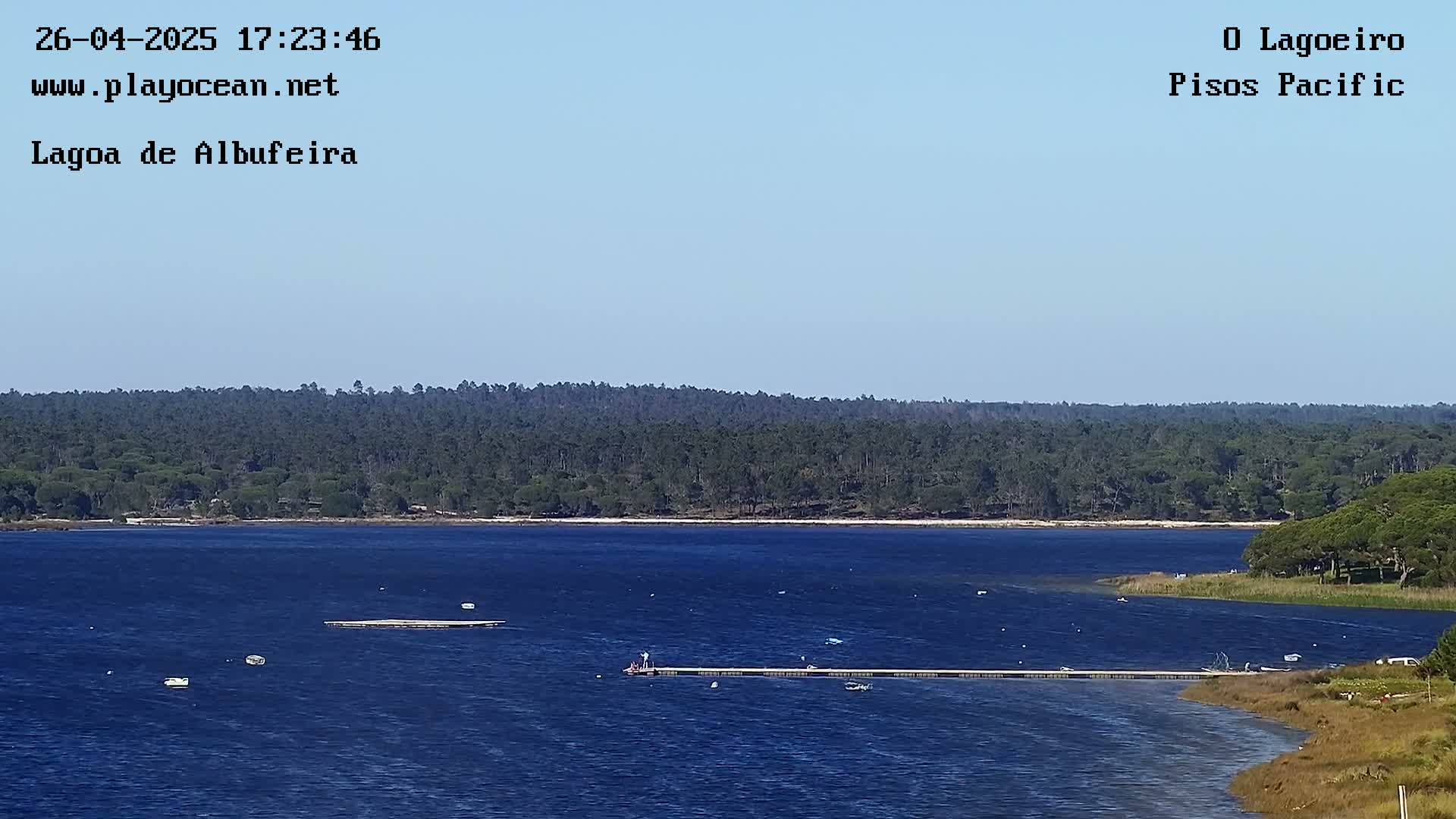 A calm, blue lagoon is bordered by a lush green forest under a clear sky.