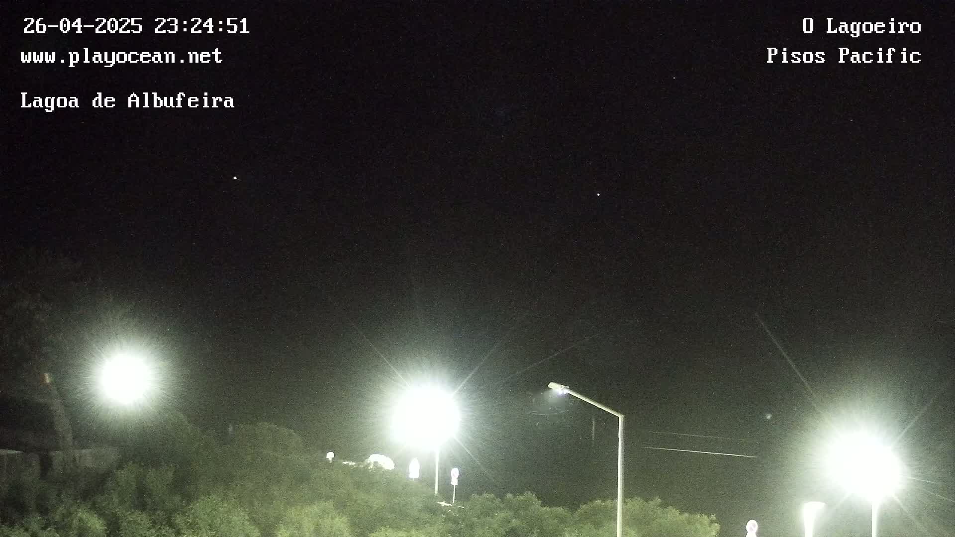Under a clear night sky, several bright lights illuminate a dark, vegetated area.