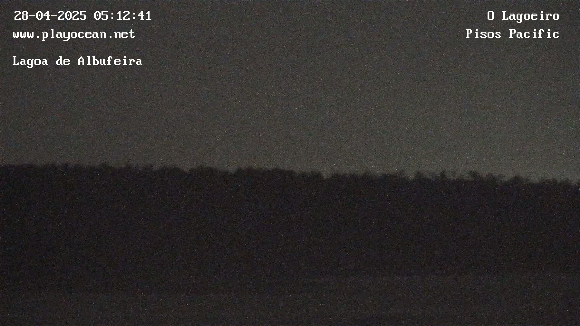 A dark, nighttime view shows a low line of trees or shrubs against a dark gray sky.