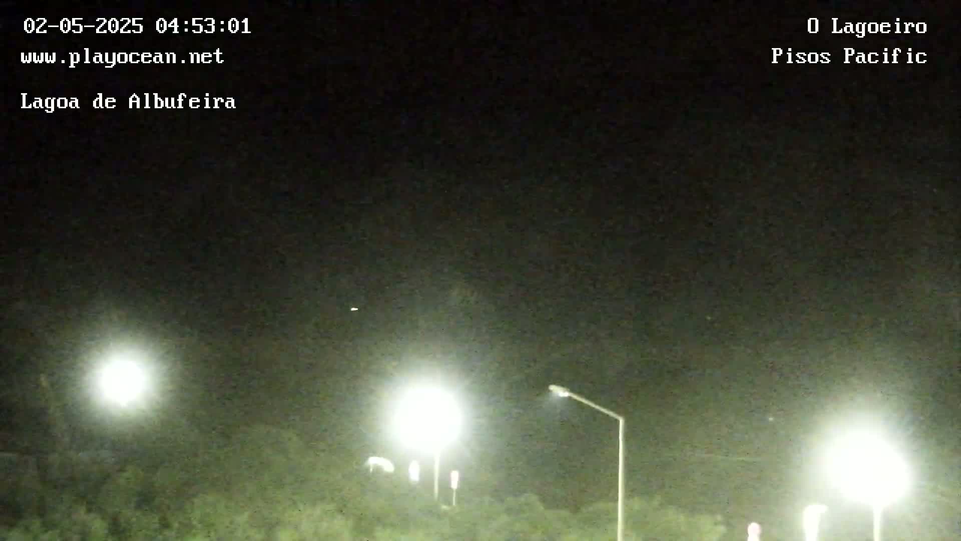 At night, bright lights illuminate a roadway bordered by dark vegetation under a clear, dark sky.