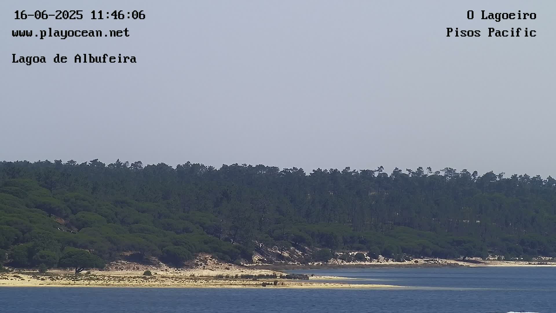A tranquil body of water laps a sandy shore backed by a dense, dark green forest under a hazy sky.