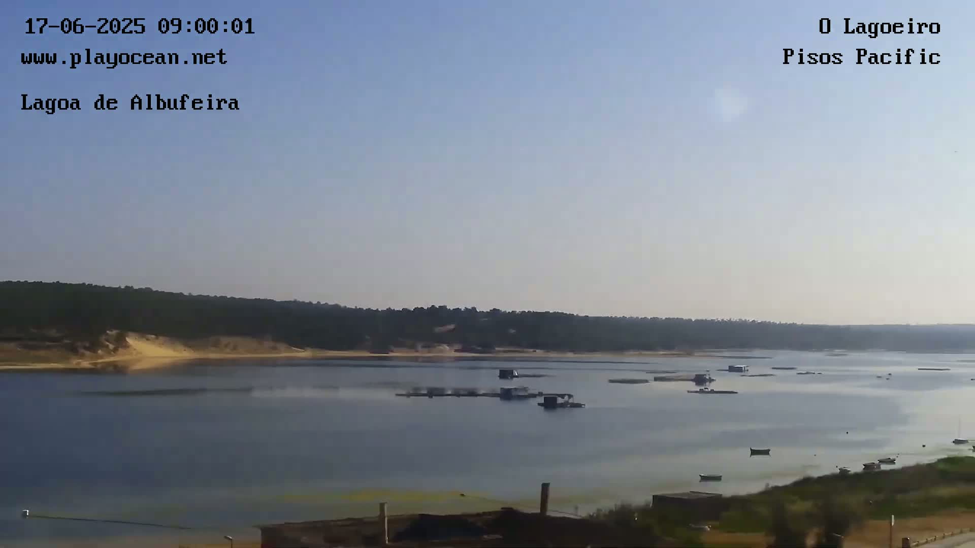 A calm body of water, under a clear sky, is surrounded by a sandy shoreline and a line of dark green trees in the background.