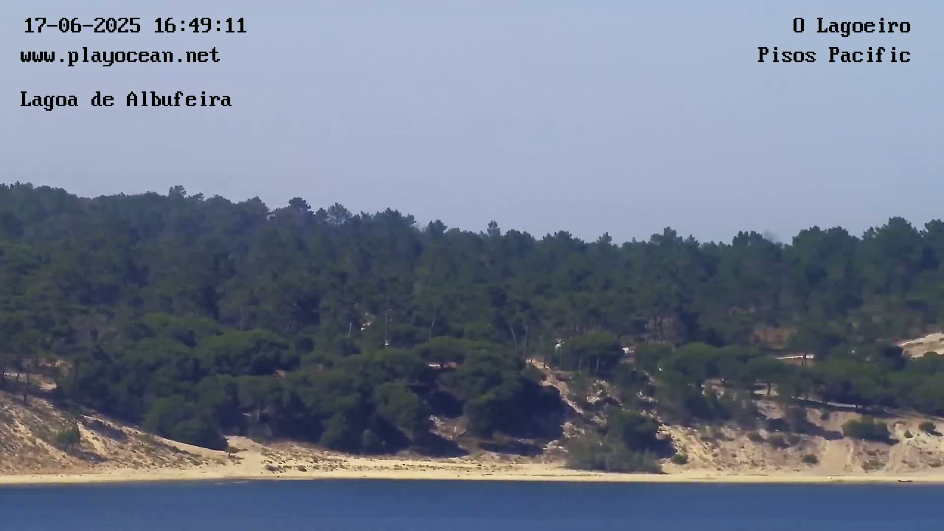 A sandy beach and calm water are visible in front of a lush, green hillside covered in pine trees under a clear sky.