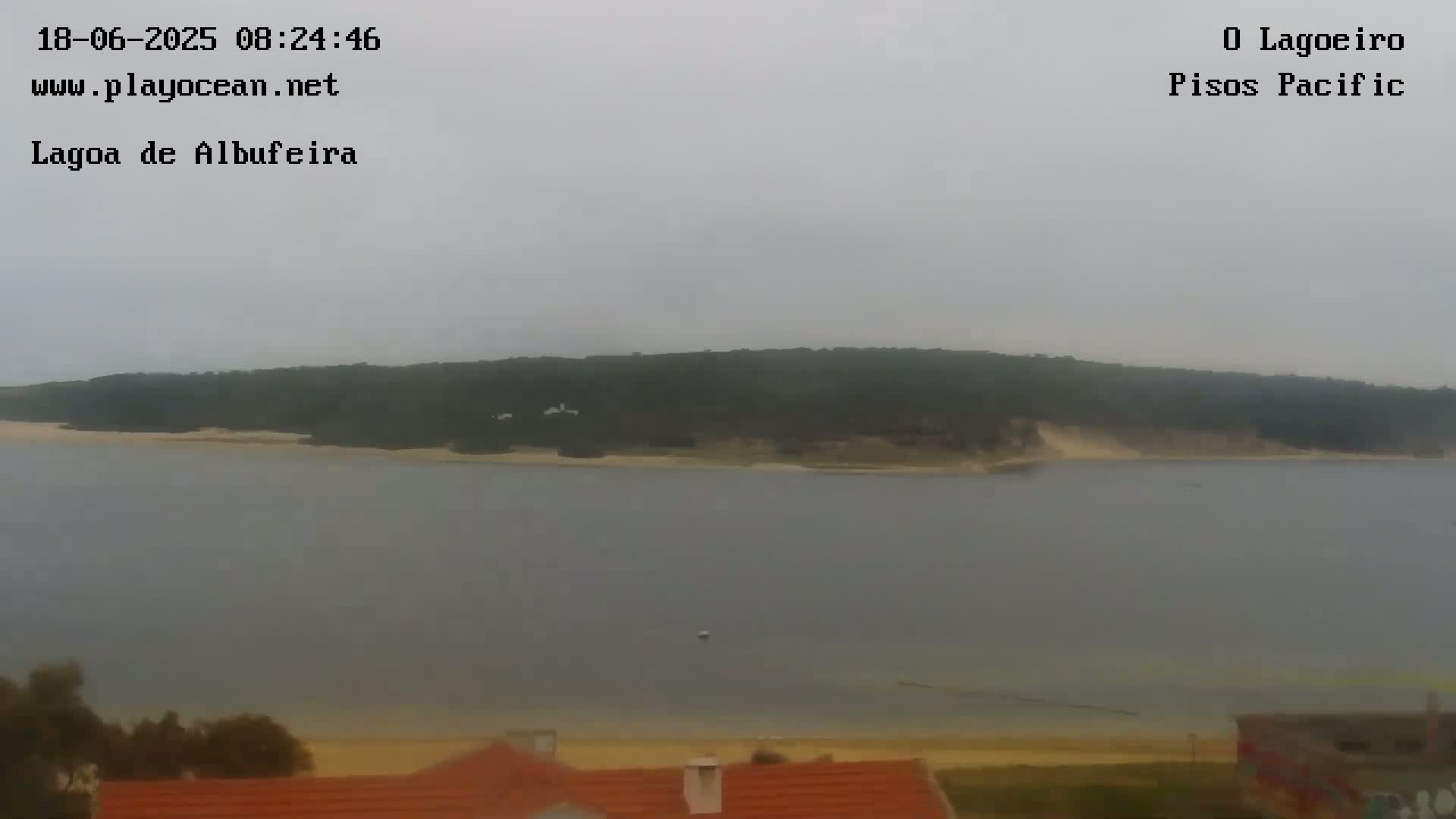 A hazy, overcast day reveals a tranquil body of water with a sandy shore and a tree-lined landmass in the distance.