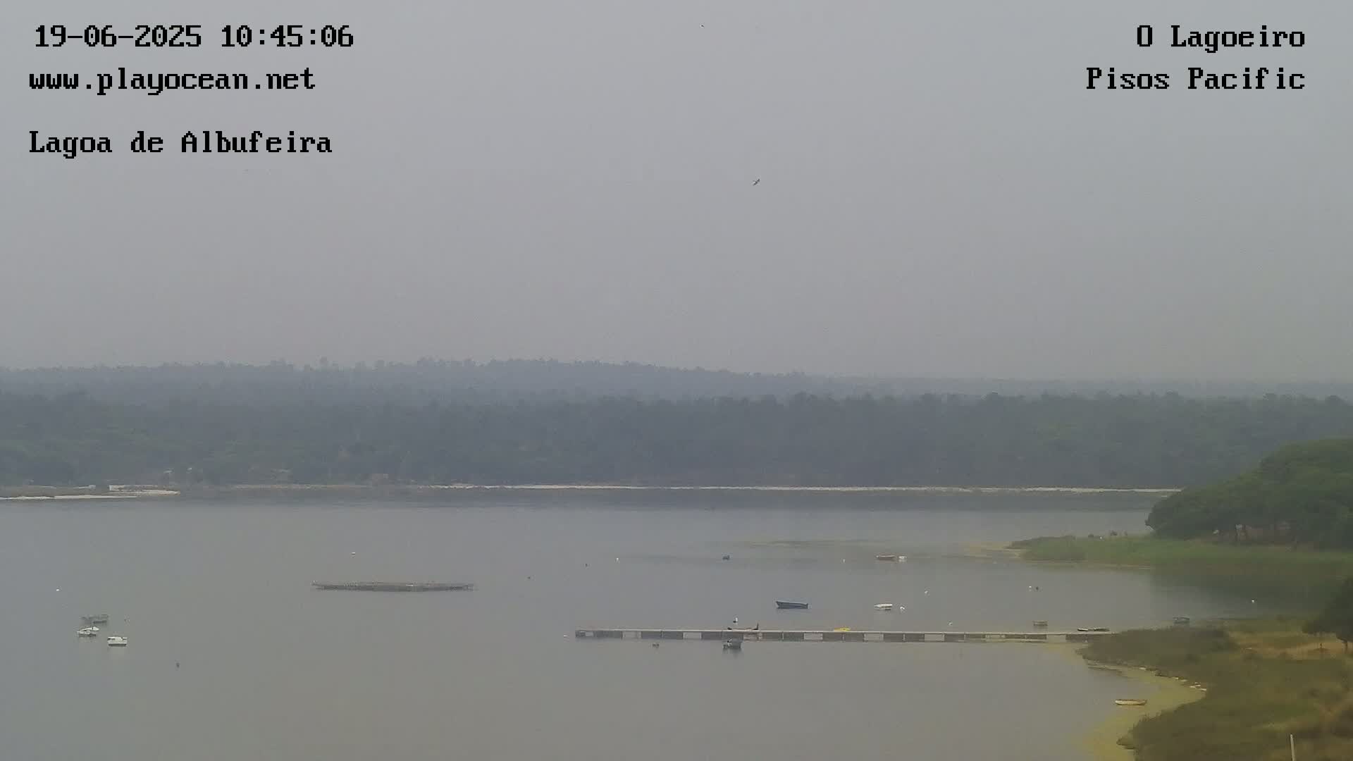 A hazy view of a calm body of water with a few boats and a long dock, surrounded by a line of trees and land in the distance.