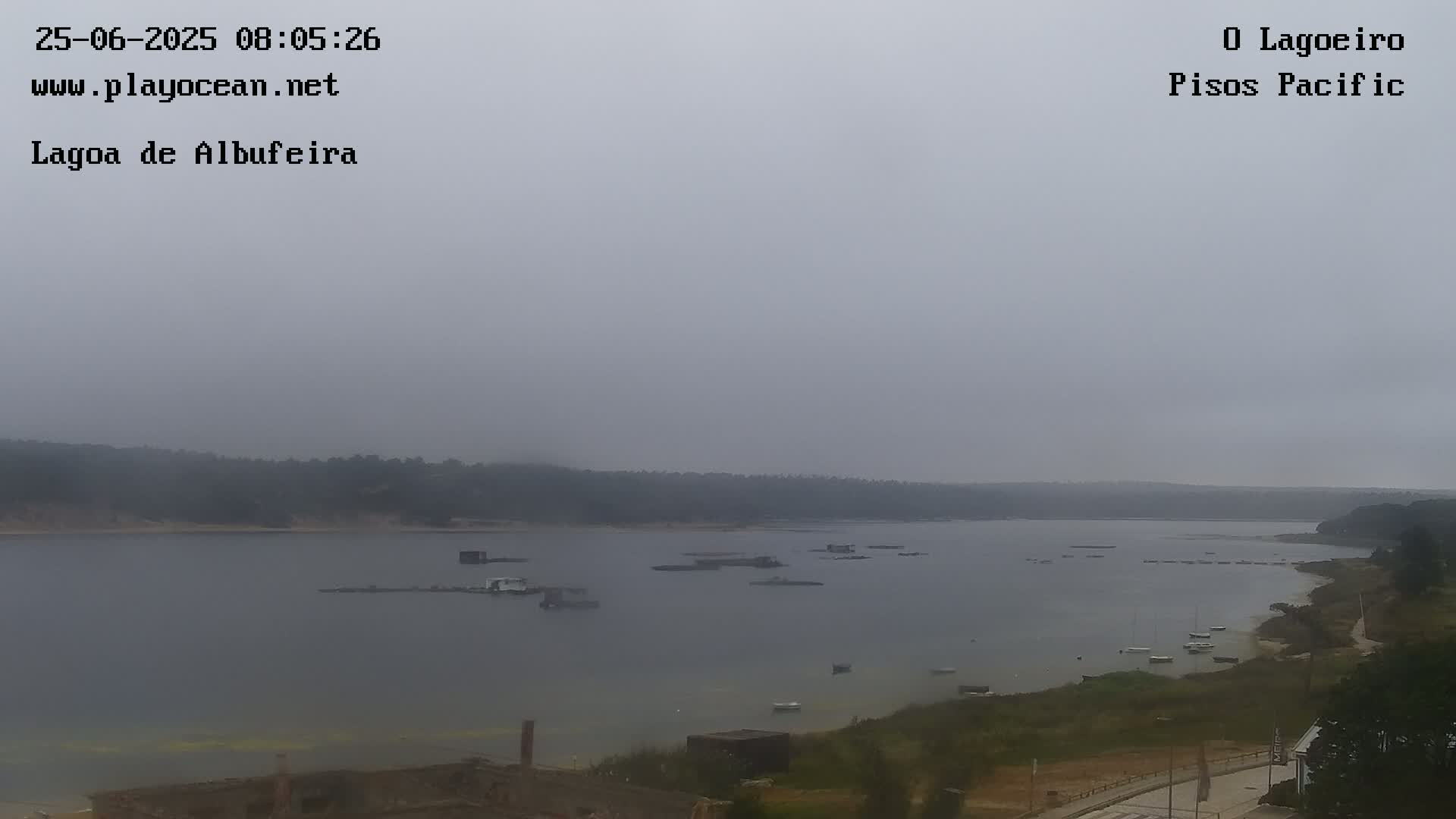A hazy, overcast day reveals a calm body of water dotted with small boats and structures near a tree-lined shore.
