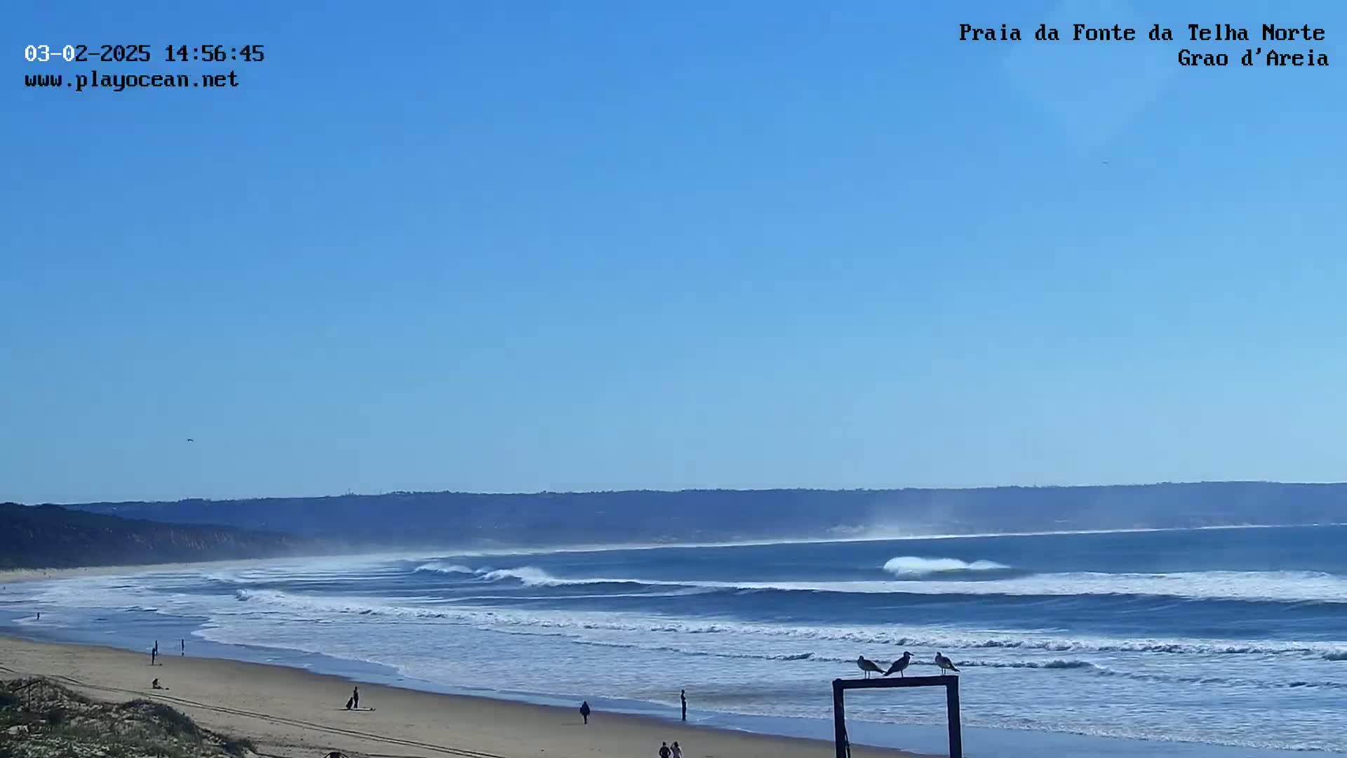 A sandy beach with rolling waves under a clear blue sky shows a few people walking along the shore and some birds perched on a fence.