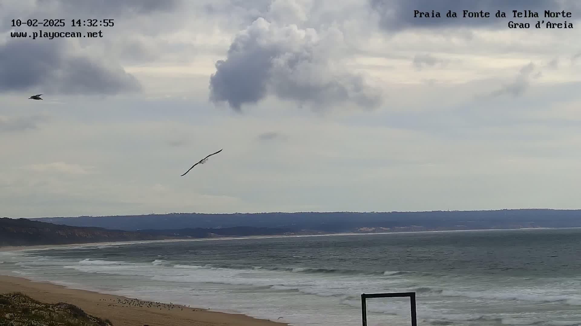 Two birds fly over a sandy beach with a choppy ocean under a partly cloudy sky.