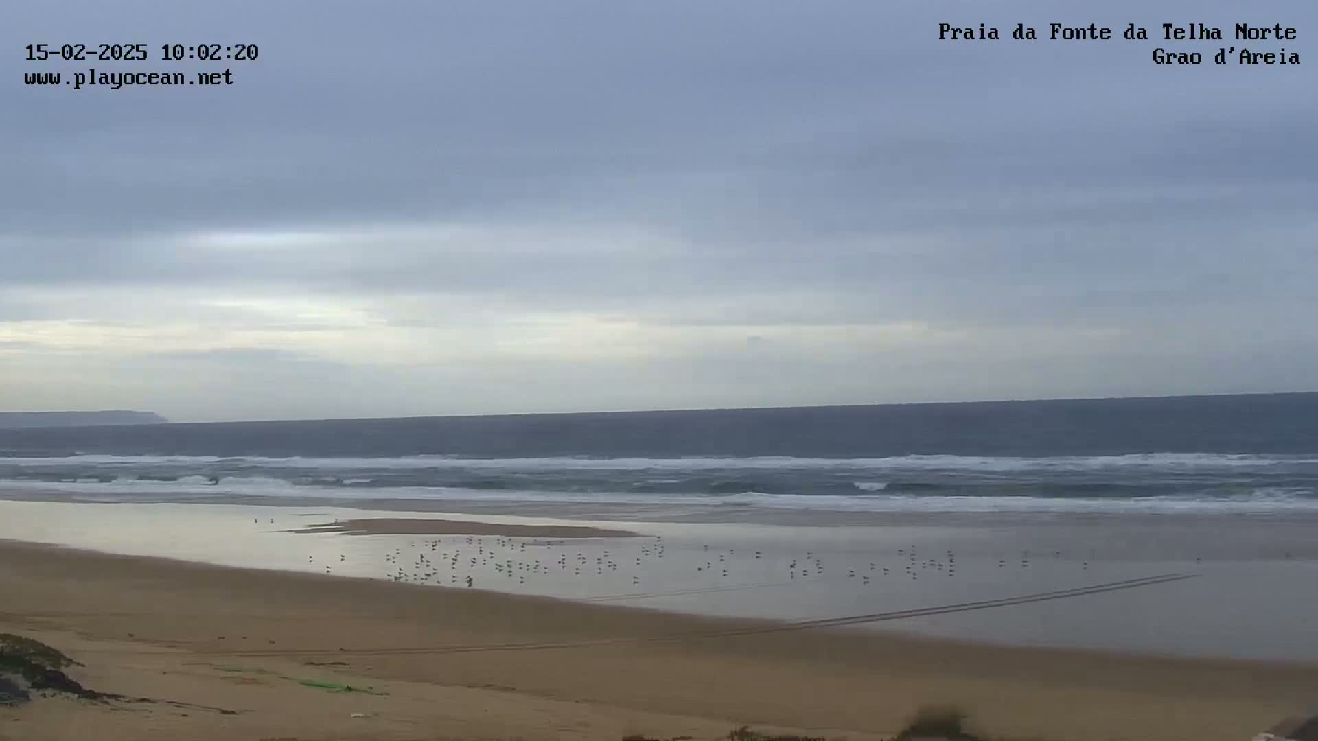A wide sandy beach with many birds on the wet sand, gentle waves rolling onto the shore under an overcast sky.
