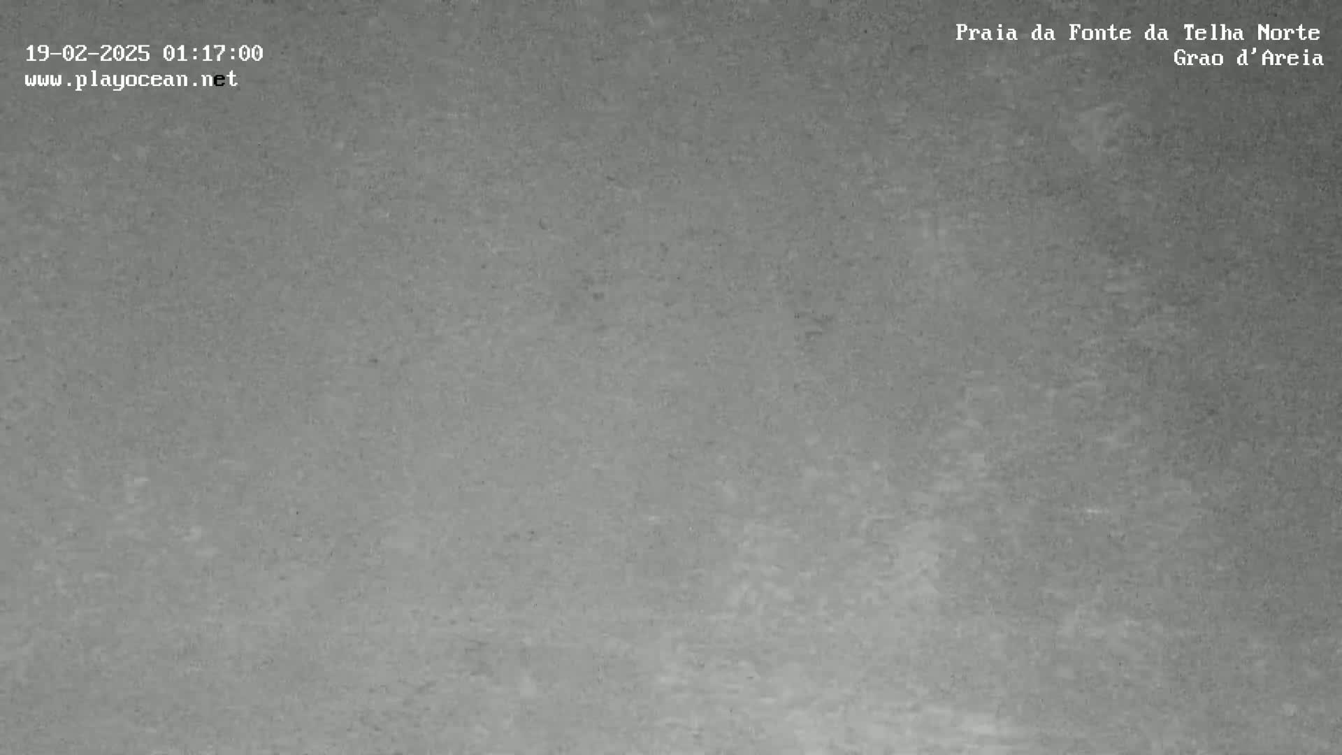 A grainy, gray image shows a mostly uniform surface with subtle variations in shading.