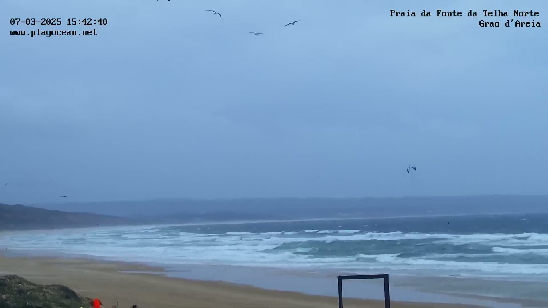 A beach with moderate waves under an overcast sky, showing several birds in flight and a kitesurfer in the distance.