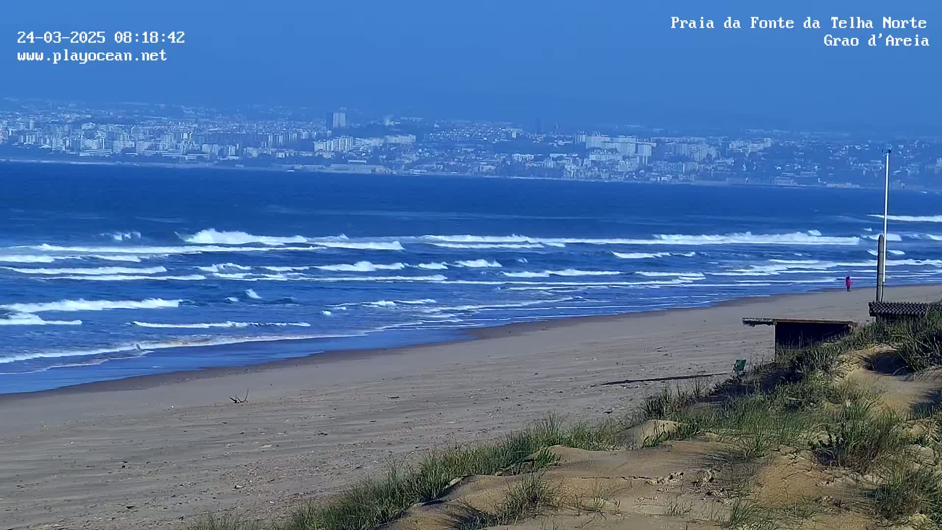 A sandy beach with small waves rolling onto the shore under a clear blue sky, a distant city visible in the background.