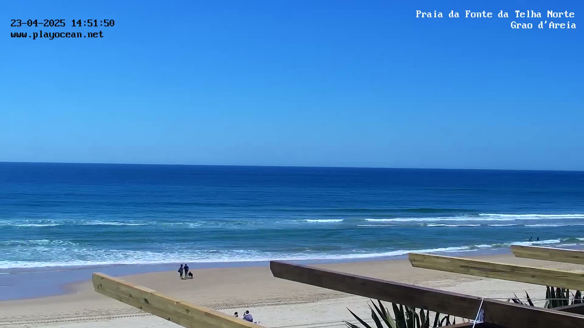 A sandy beach with a few people and dogs stretches out to a calm, blue ocean under a clear, sunny sky.