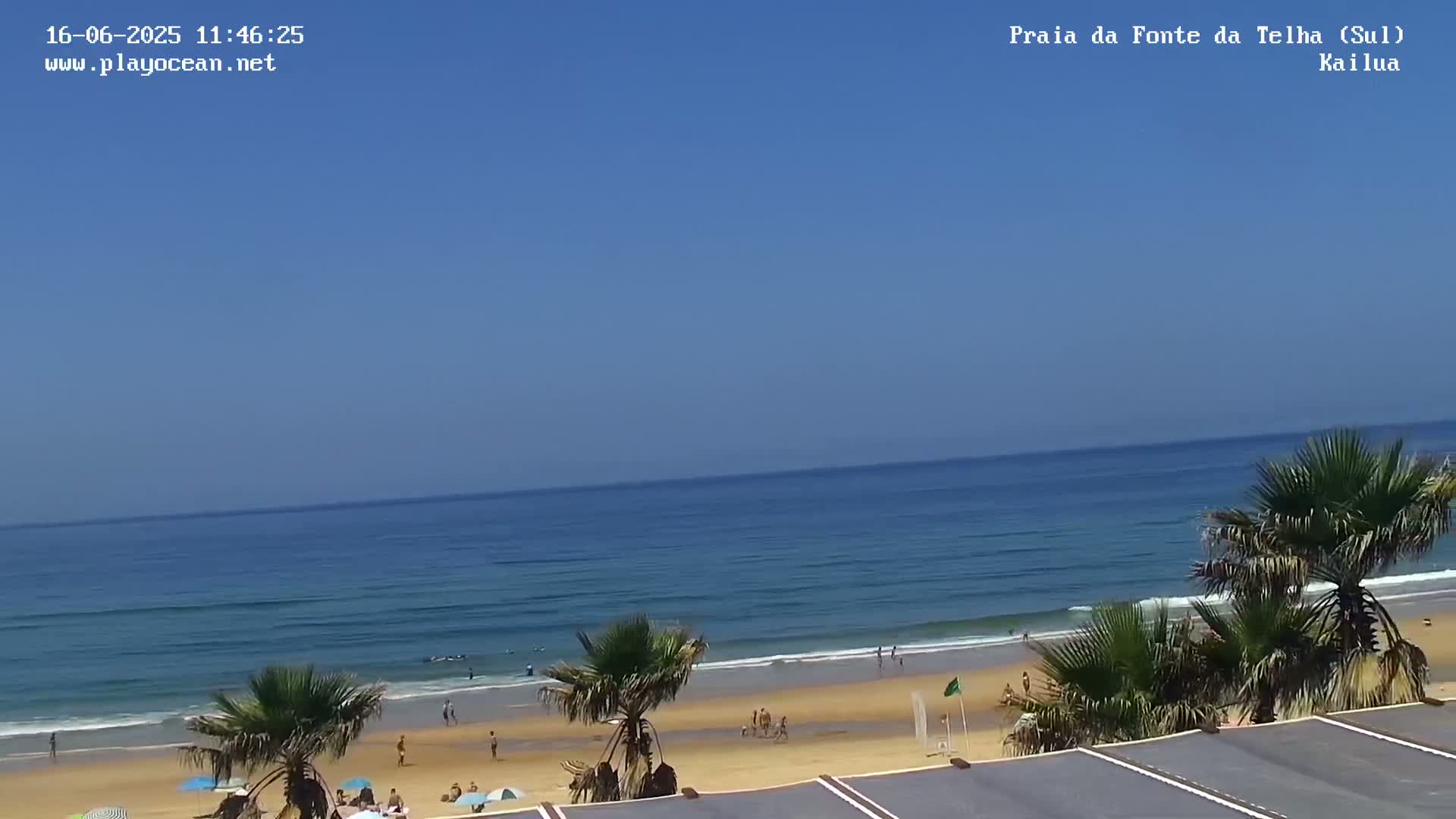 A sandy beach with calm ocean waves under a clear blue sky is populated by a few people and palm trees.