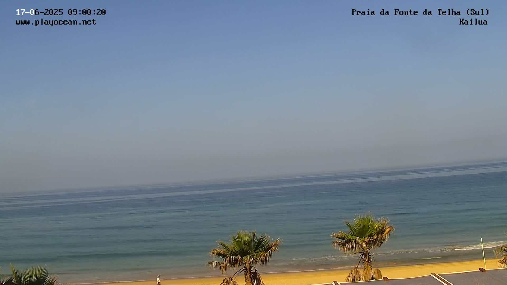 A calm ocean under a clear, light-blue sky stretches to the horizon, meeting a sandy beach with a few palm trees in the foreground.