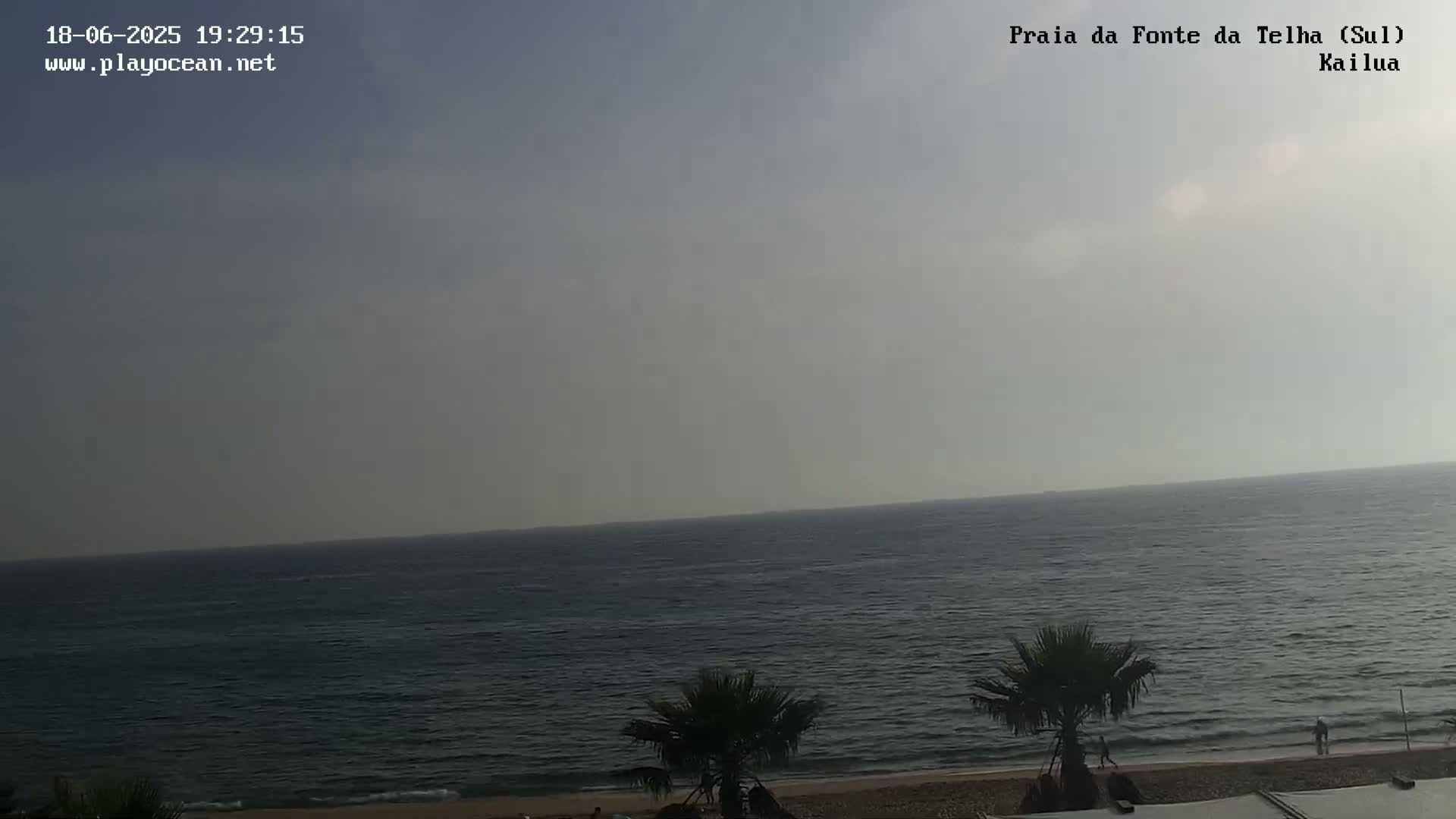 A mostly cloudy day shows a calm ocean meeting a sandy beach lined with palm trees.