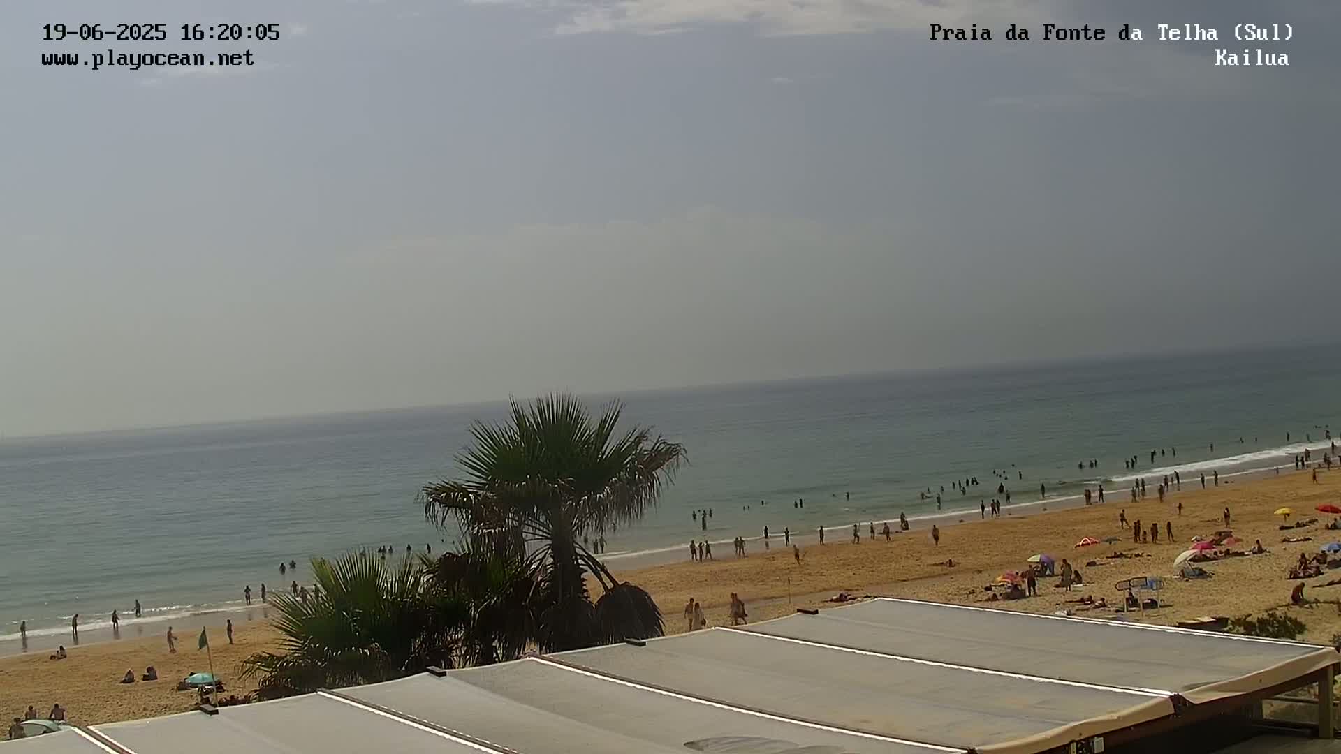 A hazy, sunny day at a beach shows many people on the sand and in the ocean, partially obscured by palm trees and a structure with a striped awning.