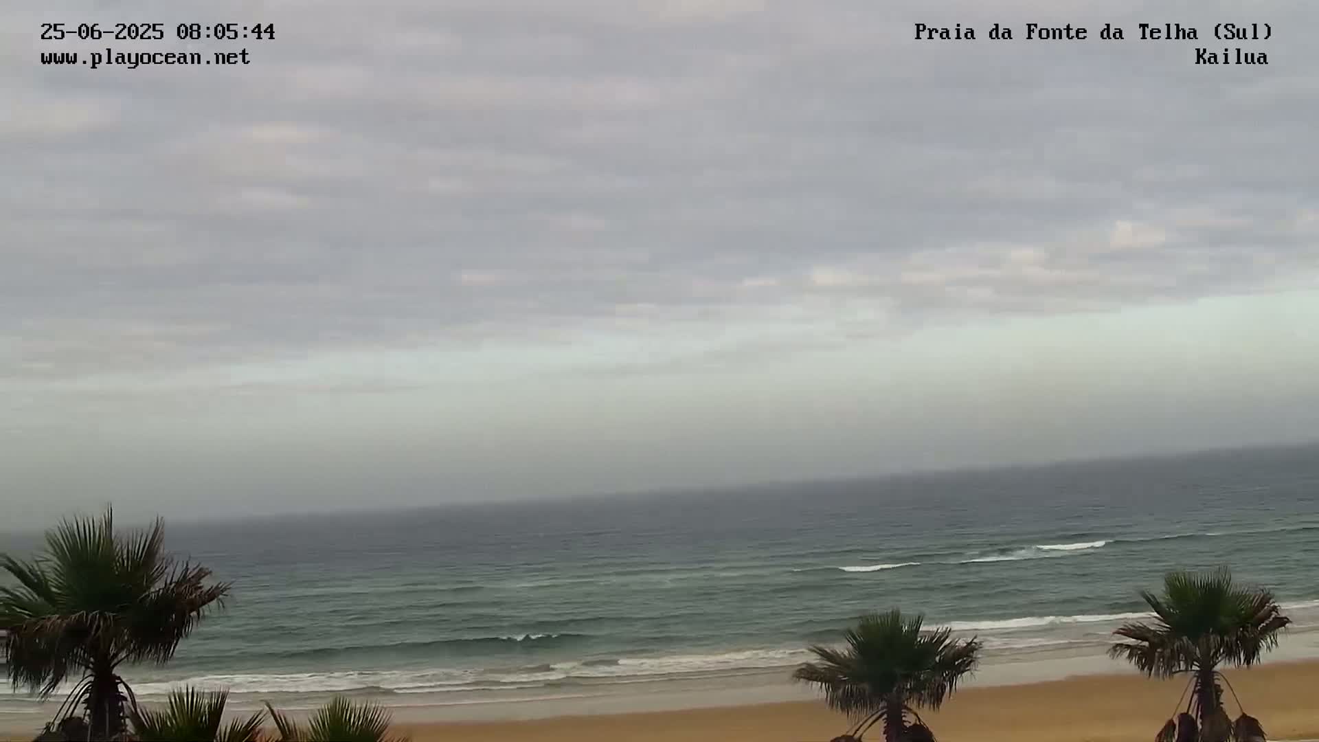 A sandy beach with gentle waves under an overcast sky is visible, with palm trees in the foreground.