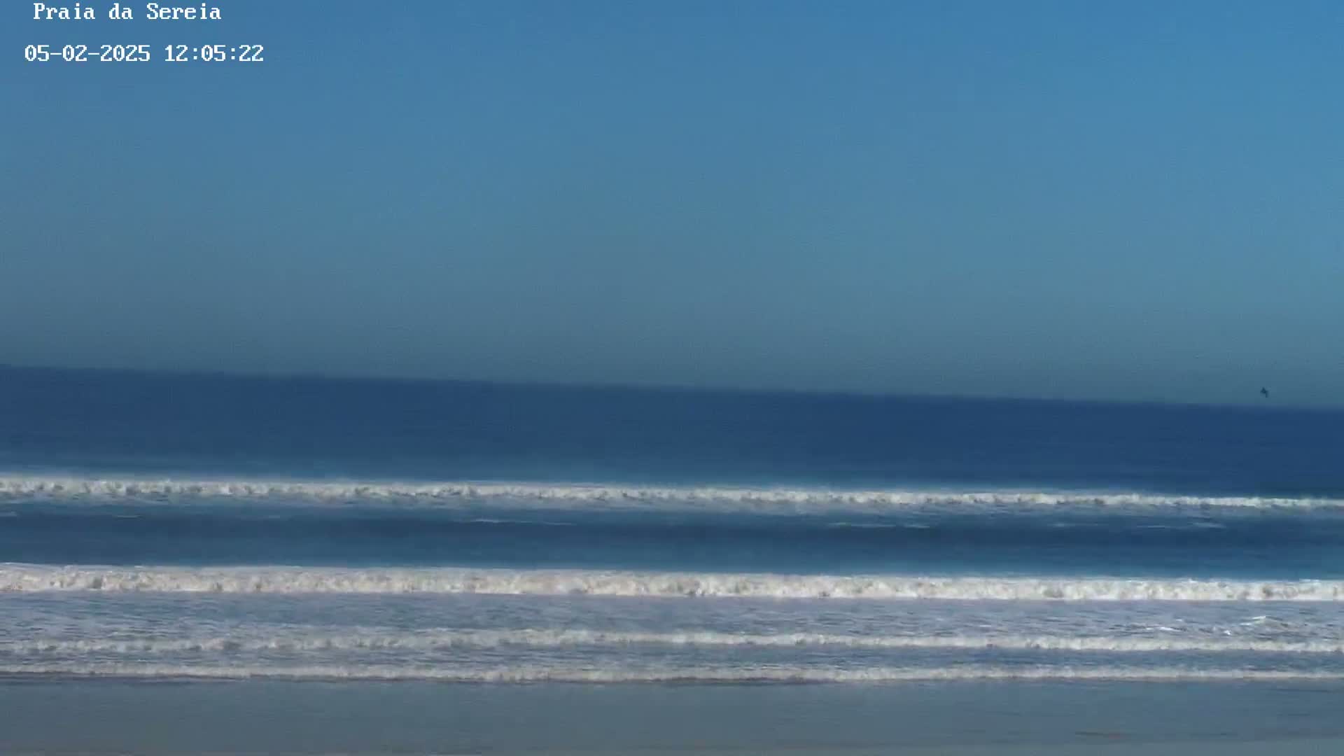 Under a clear blue sky, gentle waves roll onto a sandy beach.