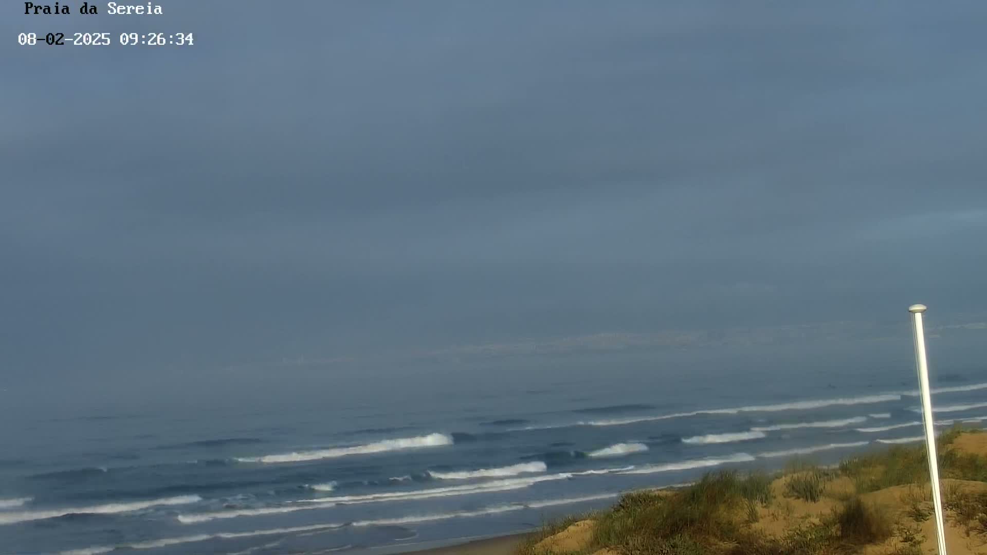 A hazy, overcast day reveals a beach with gentle waves rolling onto the shore, viewed from a dune covered in sparse vegetation.