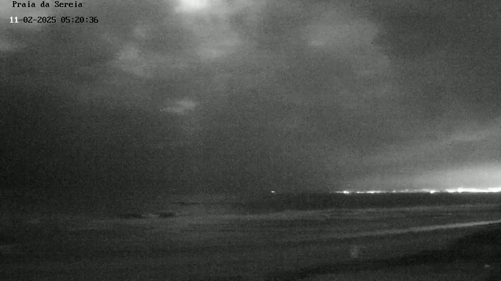 A dark, overcast night scene shows a beach and ocean with a faint city glow on the horizon.
